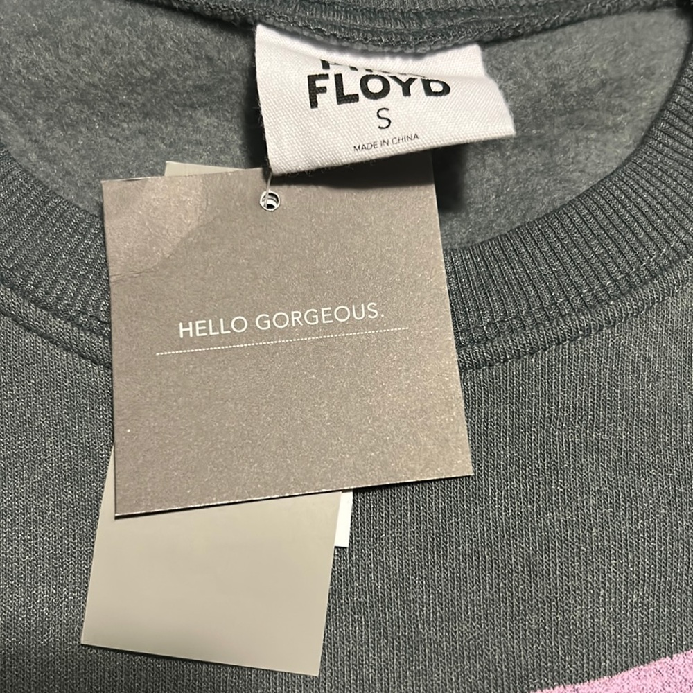 Women’s Pink Floyd Graphic sweatshirt color gray NWT - Picture 6 of 6